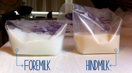 foremilk hindmilk